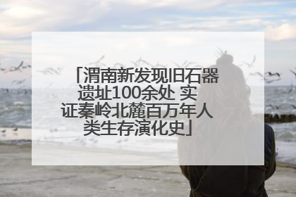 渭南新发现旧石器遗址100余处 实证秦岭北麓百万年人类生存演化史