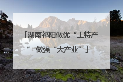 湖南祁阳做优“土特产” 做强“大产业”