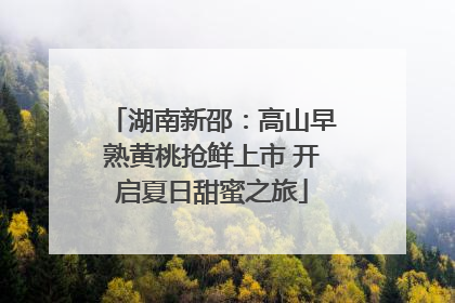 湖南新邵：高山早熟黄桃抢鲜上市 开启夏日甜蜜之旅