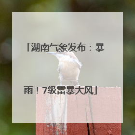 湖南气象发布：暴雨！7级雷暴大风