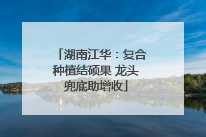 湖南江华：复合种植结硕果 龙头兜底助增收