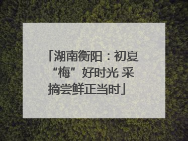 湖南衡阳：初夏“梅”好时光 采摘尝鲜正当时