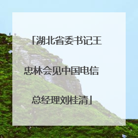 湖北省委书记王忠林会见中国电信总经理刘桂清