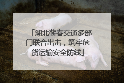 湖北蕲春交通多部门联合出击，筑牢危货运输安全防线
