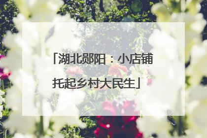湖北郧阳：小店铺托起乡村大民生