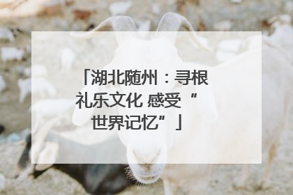 湖北随州：寻根礼乐文化 感受“世界记忆”