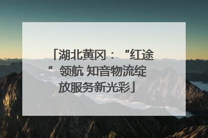 湖北黄冈：“红途”领航 知音物流绽放服务新光彩