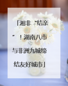湘非“结亲”！湖南八市与非洲九城缔结友好城市