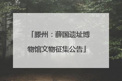 滕州：薛国遗址博物馆文物征集公告