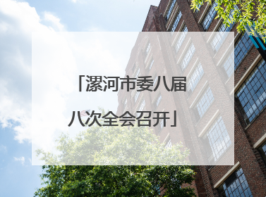 漯河市委八届八次全会召开