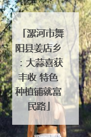 漯河市舞阳县姜店乡：大蒜喜获丰收 特色种植铺就富民路