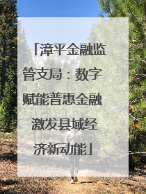 漳平金融监管支局：数字赋能普惠金融 激发县域经济新动能