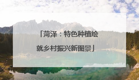 菏泽：特色种植绘就乡村振兴新图景