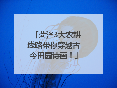 菏泽3大农耕线路带你穿越古今田园诗画！