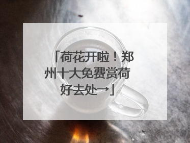 荷花开啦！郑州十大免费赏荷好去处→