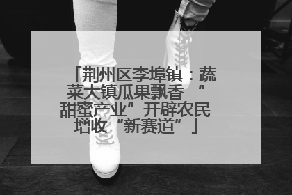 荆州区李埠镇：蔬菜大镇瓜果飘香 “甜蜜产业”开辟农民增收“新赛道”