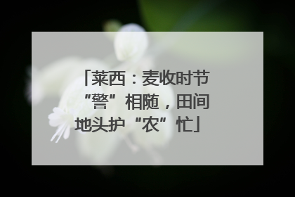 莱西：麦收时节“警”相随，田间地头护“农”忙