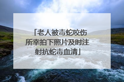 老人被毒蛇咬伤 所幸拍下照片及时注射抗蛇毒血清