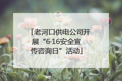 老河口供电公司开展“6·16安全宣传咨询日”活动