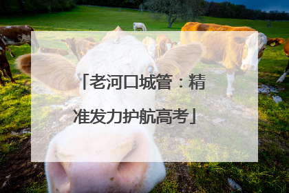 老河口城管：精准发力护航高考