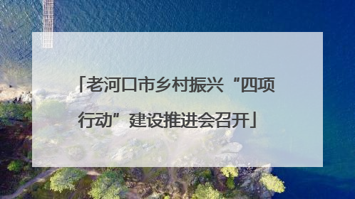 老河口市乡村振兴“四项行动”建设推进会召开
