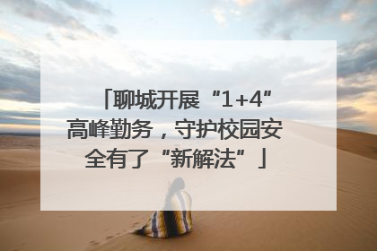 聊城开展“1+4”高峰勤务，守护校园安全有了“新解法”