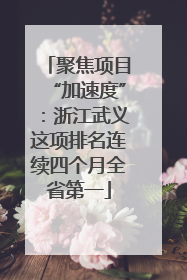 聚焦项目“加速度”：浙江武义这项排名连续四个月全省第一