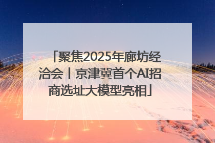 聚焦2025年廊坊经洽会丨京津冀首个AI招商选址大模型亮相
