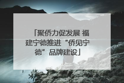 聚侨力促发展 福建宁德推进“侨见宁德”品牌建设