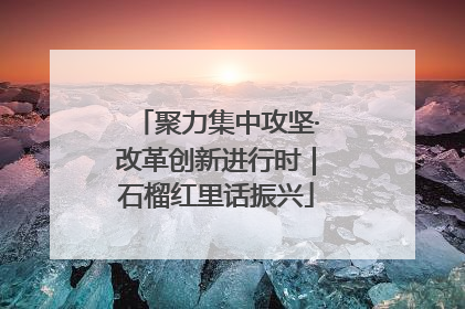 聚力集中攻坚·改革创新进行时｜石榴红里话振兴