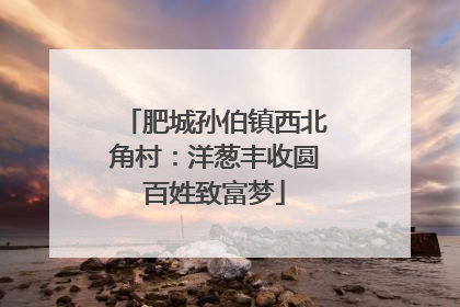 肥城孙伯镇西北角村：洋葱丰收圆百姓致富梦