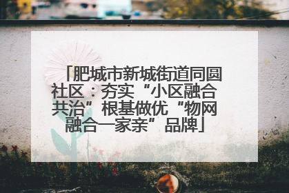 肥城市新城街道同圆社区：夯实“小区融合共治”根基做优“物网融合一家亲”品牌