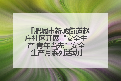 肥城市新城街道赵庄社区开展“安全生产 青年当先”安全生产月系列活动