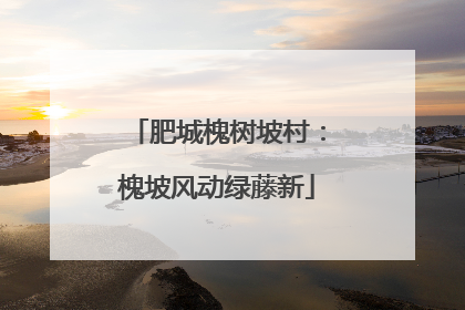 肥城槐树坡村：槐坡风动绿藤新