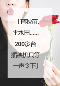 育秧苗、平水田……200多台插秧机只等一声令下