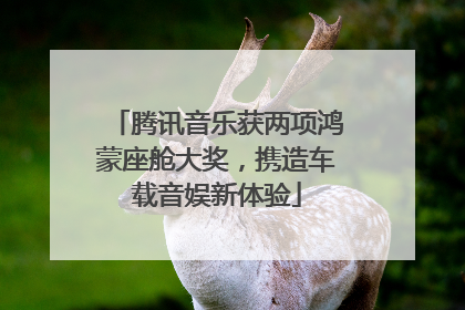 腾讯音乐获两项鸿蒙座舱大奖，携造车载音娱新体验