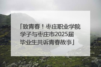 致青春！枣庄职业学院学子与枣庄市2025届毕业生共诉青春故事