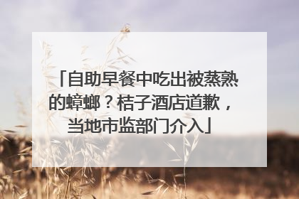 自助早餐中吃出被蒸熟的蟑螂？桔子酒店道歉，当地市监部门介入