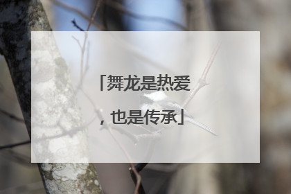 舞龙是热爱，也是传承