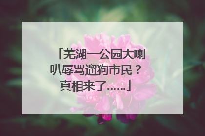 芜湖一公园大喇叭辱骂遛狗市民？真相来了……