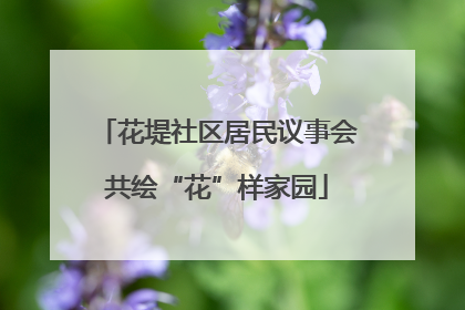 花堤社区居民议事会共绘“花”样家园