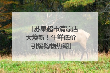 苏果超市清凉店大焕新！生鲜低价引爆购物热潮