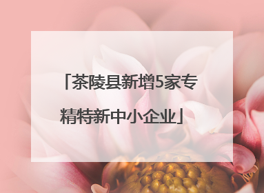 茶陵县新增5家专精特新中小企业