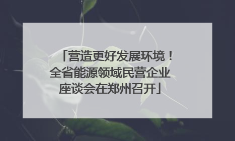 营造更好发展环境！全省能源领域民营企业座谈会在郑州召开