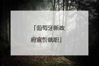 葡萄牙新政府宣誓就职