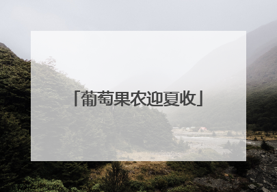 葡萄果农迎夏收