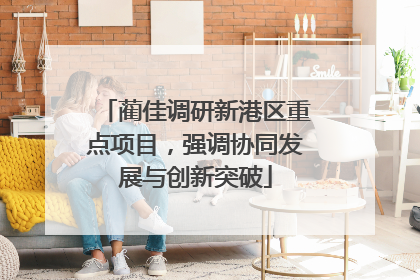 蔺佳调研新港区重点项目，强调协同发展与创新突破