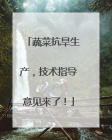 蔬菜抗旱生产，技术指导意见来了！