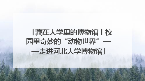 藏在大学里的博物馆丨校园里奇妙的“动物世界”——走进河北大学博物馆