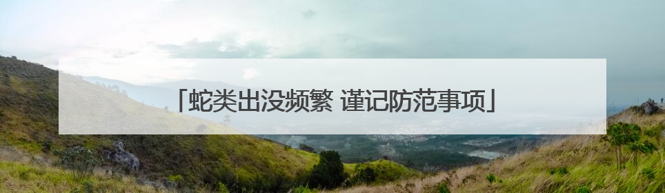 蛇类出没频繁 谨记防范事项